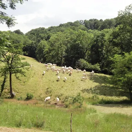 度假居 Millepertuis Montaut (Pyrenees-Atlantiques)