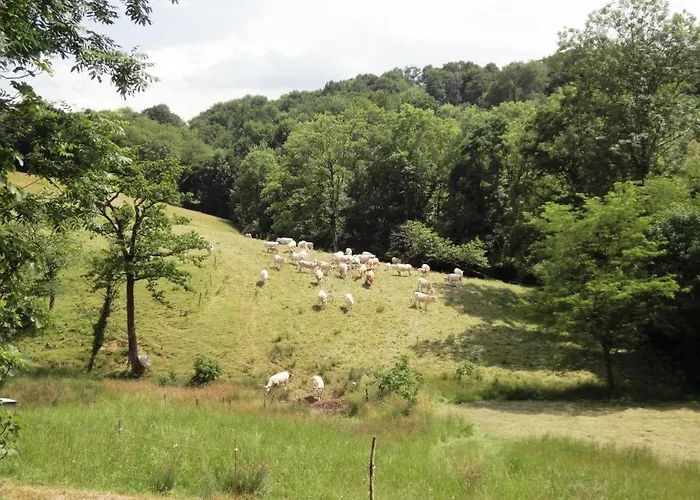 Vakantiehuis Millepertuis Montaut (Pyrenees-Atlantiques)